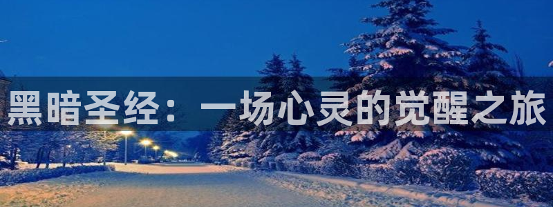omofun日本动漫：黑暗圣经：一场心灵的觉醒之旅配图