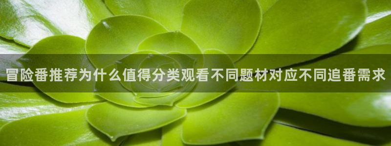 omofun新番大全:冒险番推荐为什么值得分类观看不同题材对应不同追番需求配图