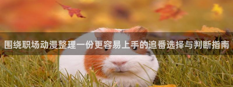 omofun动漫每日更新:围绕职场动漫整理一份更容易上手的追番选择与判断指南配图