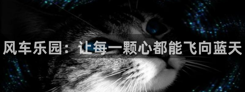 omofun动漫网:风车乐园:让每一颗心都能飞向蓝天配图