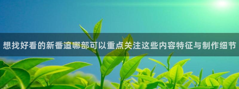 omofun动漫官网在线观看:想找好看的新番追哪部可以重点关注这些内容特征与制作细节配图