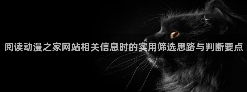omofun奇幻动漫：阅读动漫之家网站相关信息时的实用筛选思路与判断要点配图