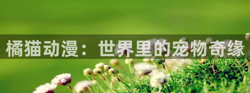 omofun日漫在线观看:橘猫动漫:世界里的宠物奇缘配图