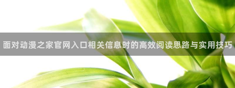 omofun日漫推荐:面对动漫之家官网入口相关信息时的高效阅读思路与实用技巧配图