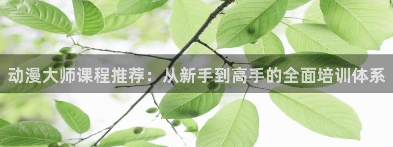 omofun国漫:动漫大师课程推荐:从新手到高手的全面培训体系配图
