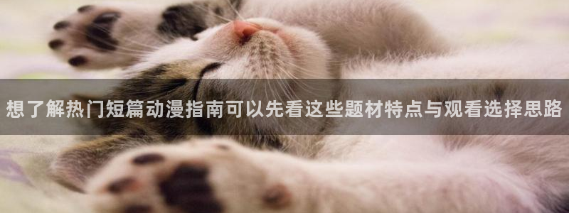omofun动漫更新最快:想了解热门短篇动漫指南可以先看这些题材特点与观看选择思路配图
