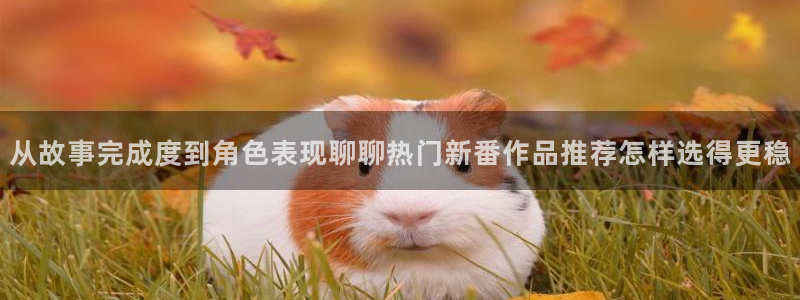 omofun手机版:从故事完成度到角色表现聊聊热门新番作品推荐怎样选得更稳配图