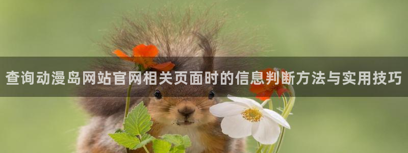 omofun全集免费观看:查询动漫岛网站官网相关页面时的信息判断方法与实用技巧配图